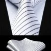 Striped Necktie Handkerchief Set